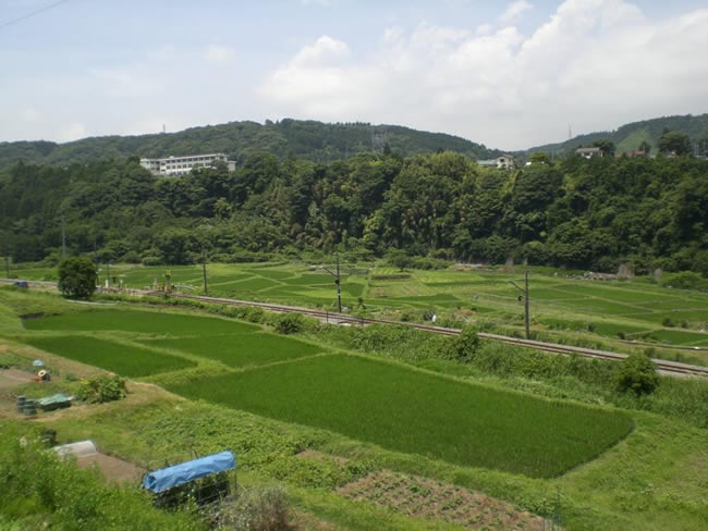 小山町所領の田園風景