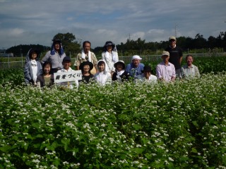 上長窪のソバの花