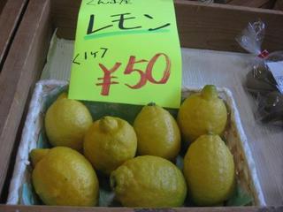 くんま産 レモン
