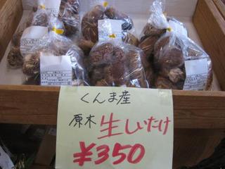 くんま産 生椎茸