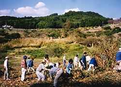 荒廃した棚田は地域の皆さんの他ボランティアが参画し復田が行われました(平成11年)