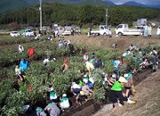 白糸の里(富士宮市)