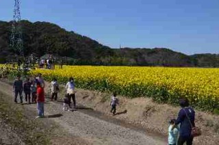 特設ステージからの見晴しは抜群です