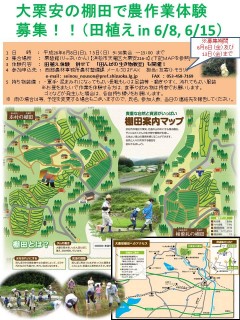 大栗安の棚田 ポスター