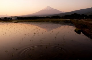 富士のゆうふれ