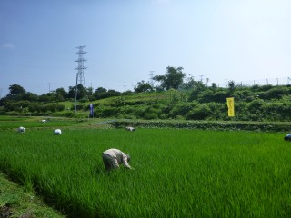 久保1