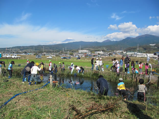 浮島（沼津市）