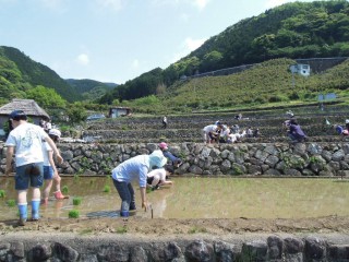 沼津市戸田北山の棚田