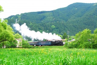 駿河徳山ときどん池からのSL