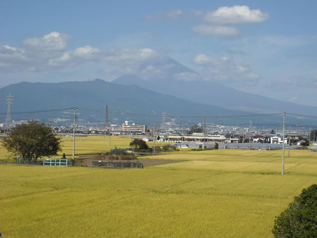韮山多田の田園と富士山