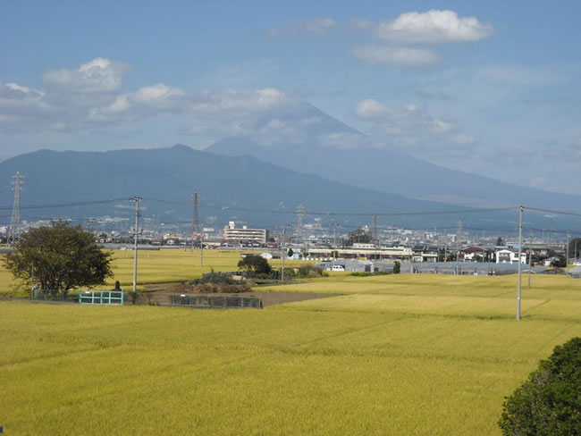 韮山多田（伊豆の国市）