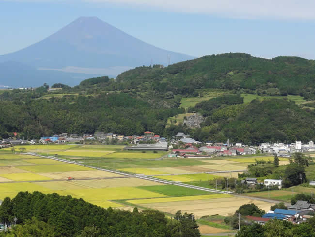 函南町丹那盆地と富士山の眺め
