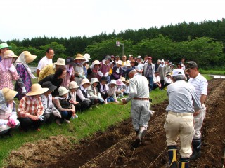 裾野パノラマロードの種まき