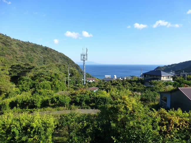 大川（賀茂郡東伊豆町）