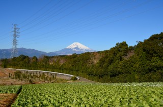 三島箱根西麓地区からの富士山
