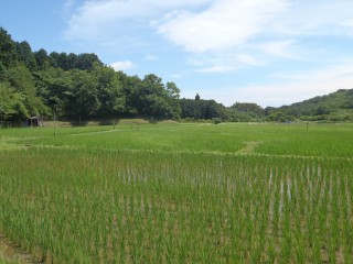 十足の田園風景