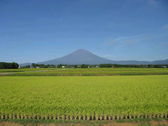 御殿場市西澤水系からの富士山