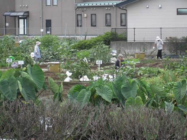 久米田（駿東郡清水町）