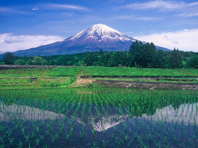 柚野の田んぼの水鏡に映る富士山