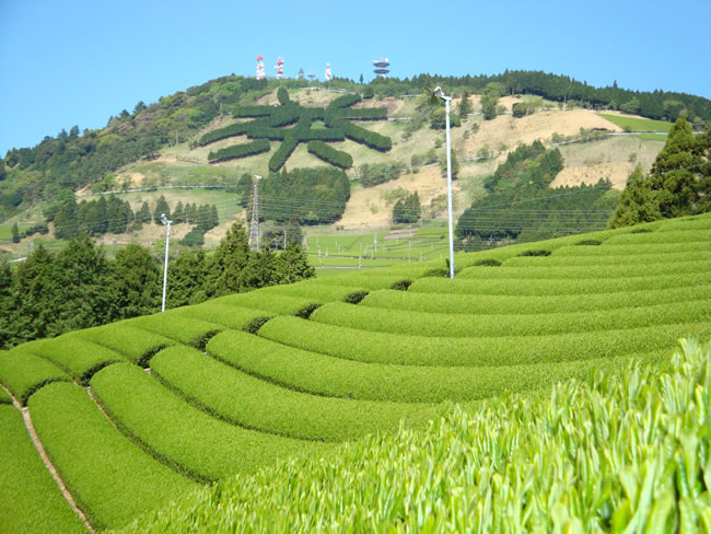 茶文字の里　東山