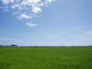 とうもんの里の田園風景