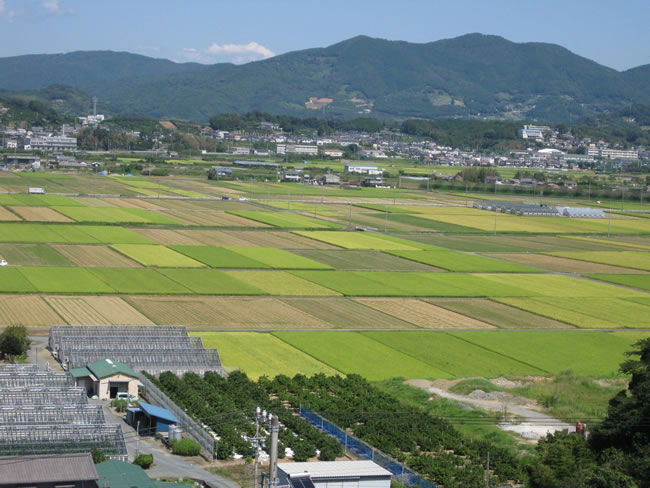 銅鐸と水田のふるさと中川（浜松市北区）