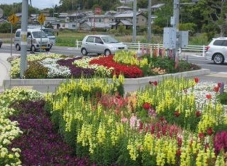 動植物の宝庫フラワータウン