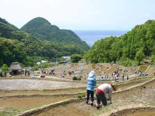 石部赤根田村百笑の里（賀茂郡松崎町）