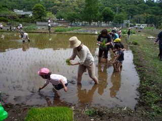 上長窪地区の園児の田植え