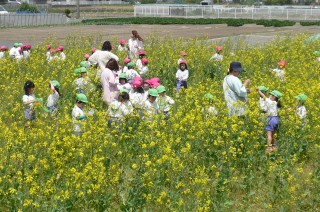 花が彩るかつての耕作放棄地