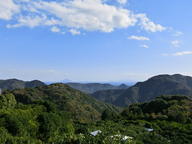 下大沢（下田市）