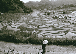 昭和40年代の棚田