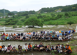 現在は地域の方の他、棚田オーナー、静岡大学、企業の皆さんにより棚田が保全されています