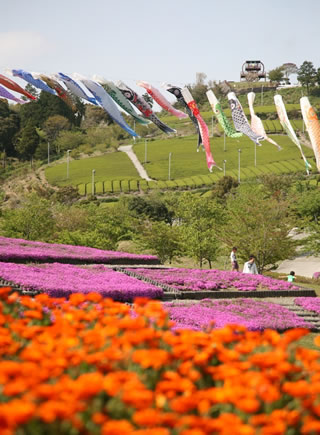 季節ごとに違う表情を楽しめます