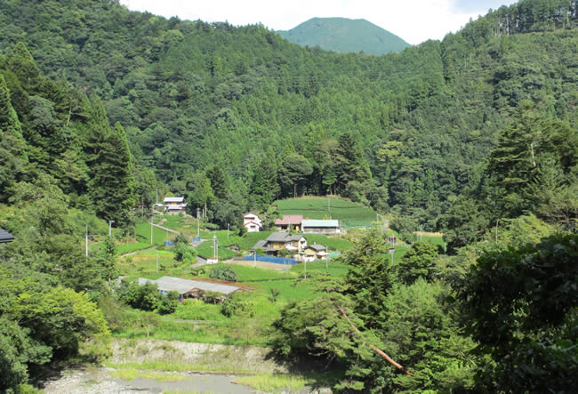 池の谷・閑蔵（榛原郡川根本町）