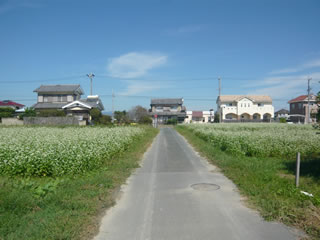 万斛村と呼ばれた肥沃な地域