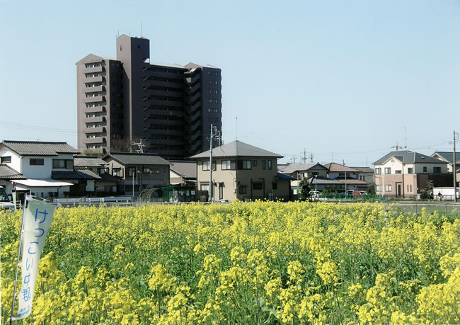 中郡地区（浜松市東区）