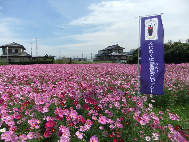 中ノ町地区（浜松市東区）