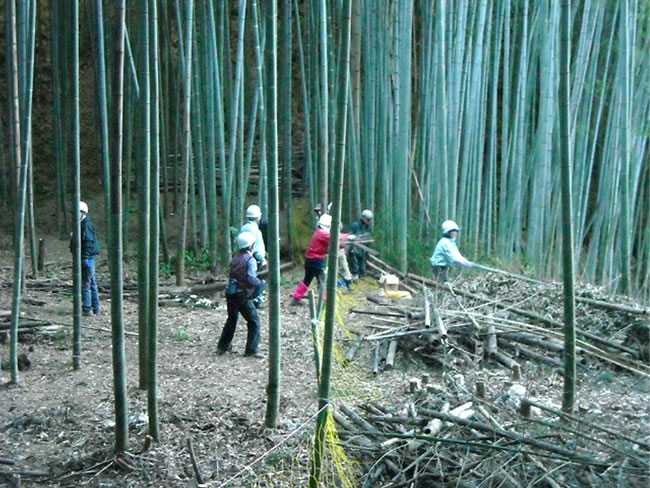 韮山金谷（伊豆の国市）