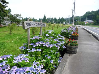 紫陽花の季節のロマンチック街道