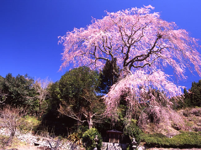 奥藁科・大川（静岡市葵区）