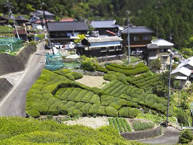 大沢地区（静岡市葵区）