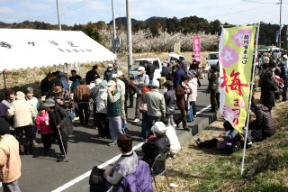 大勢の人で賑わう梅まつり