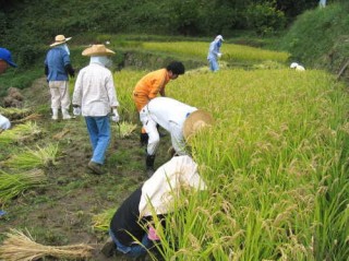 地域内外から人が集まる保全活動