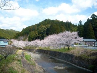 緑豊かな山あいの景色