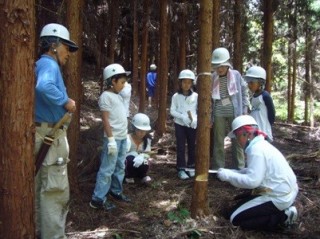 原木の伐採から行う椎茸栽培体験