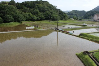 緑に囲まれた田園風景