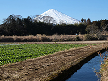 二子湧水の里 (ふたごゆうすいのさと)