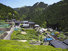 大沢地区(おおさわちく)