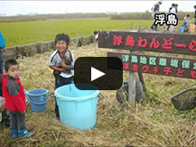 【動画】みんなでつくりあげる「住んで良かった・住みたい浮島」